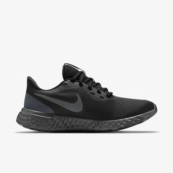 Фото Кроссовки женские NIKE WMNS REVOLUTION 5 BQ3207-001