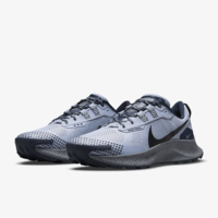 Мужские кроссовки Nike PEGASUS TRAIL 3 DA8697-003 - фото 1
