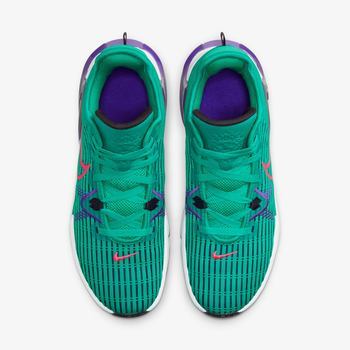 Фото Мужские кроссовки Nike LEBRON WITNESS VI CZ4052-300