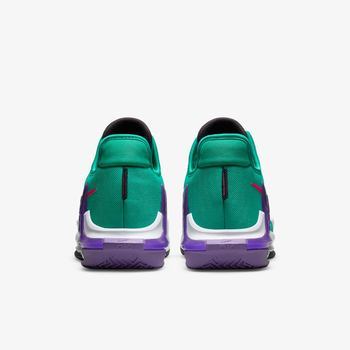 Фото Мужские кроссовки Nike LEBRON WITNESS VI CZ4052-300