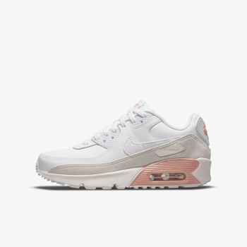 Фото Детские кроссовки Nike AIR MAX 90 LTR (GS) CD6864-117