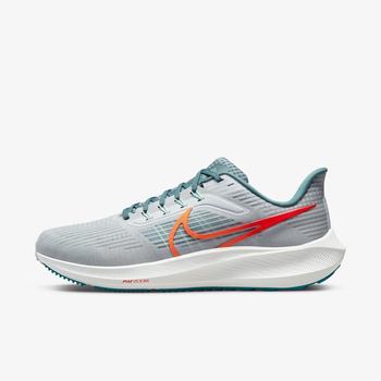 Фото Мужские кроссовки Nike AIR ZOOM PEGASUS 39 DH4071-003