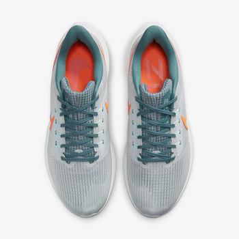 Фото Мужские кроссовки Nike AIR ZOOM PEGASUS 39 DH4071-003