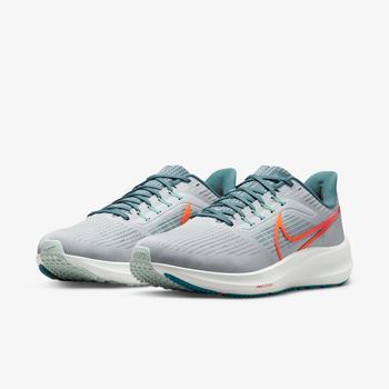 Фото Мужские кроссовки Nike AIR ZOOM PEGASUS 39 DH4071-003