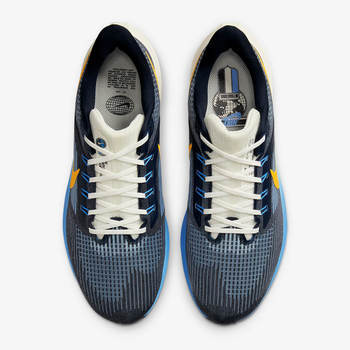 Фото Мужские кроссовки Nike AIR ZOOM PEGASUS 39 PRM DO9580-400