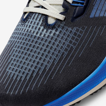 Фото Мужские кроссовки Nike AIR ZOOM PEGASUS 39 PRM DO9580-400
