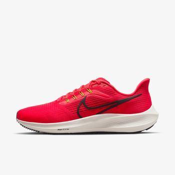 Фото Мужские кроссовки Nike AIR ZOOM PEGASUS 39 DH4071-600