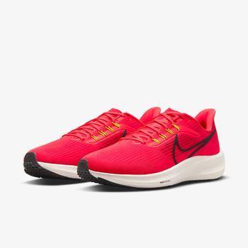 Фото Мужские кроссовки Nike AIR ZOOM PEGASUS 39 DH4071-600