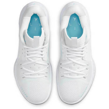 Фото Мужские кроссовки Nike JORDAN ZOOM SEPARATE DH0249-141