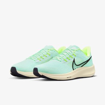 Фото Мужские кроссовки Nike AIR ZOOM PEGASUS 39 DH4071-301