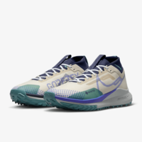 Кроссовки мужские Nike REACT PEGASUS TRAIL 4 GTX (DJ7926-100) - фото 1